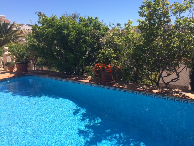 swimming_pool
